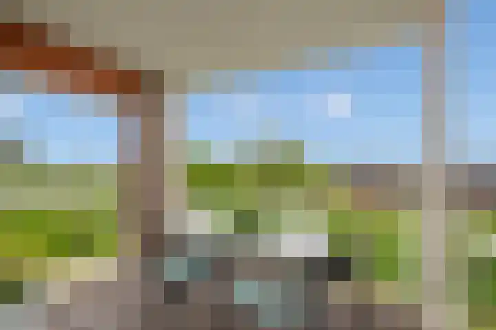 Mare 66 Pijnacker foto 3