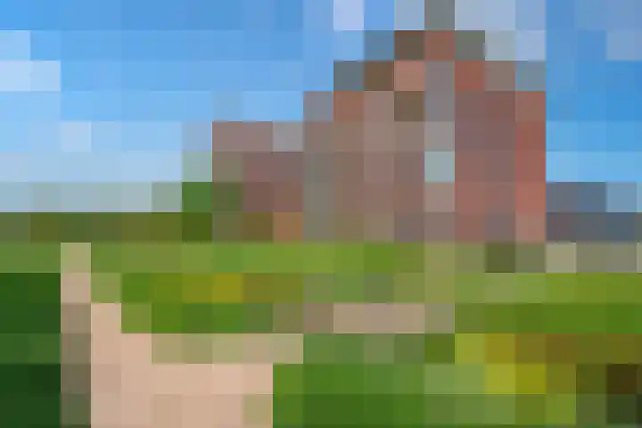 Mare 66 Pijnacker thumbnail 37