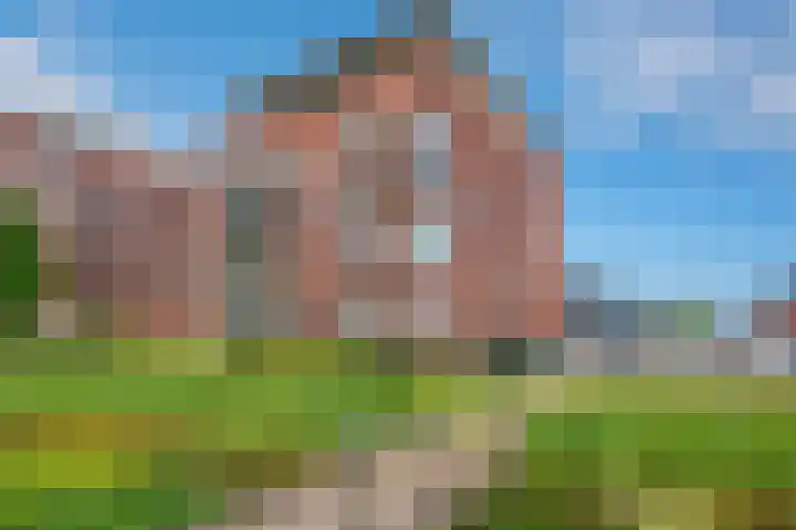 Mare 66 Pijnacker thumbnail 38