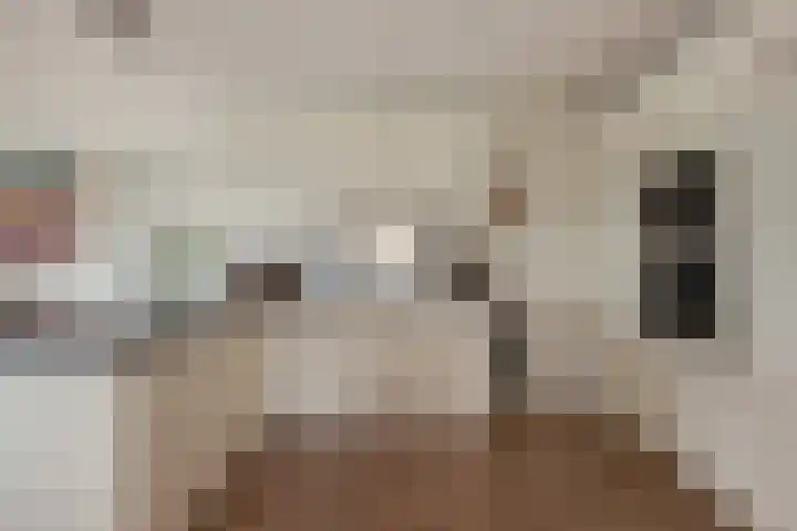 Mare 66 Pijnacker thumbnail 4