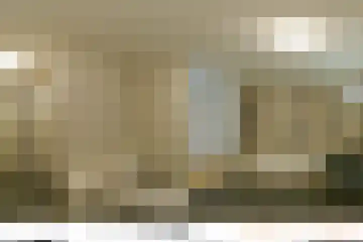 Mare 66 Pijnacker thumbnail 40