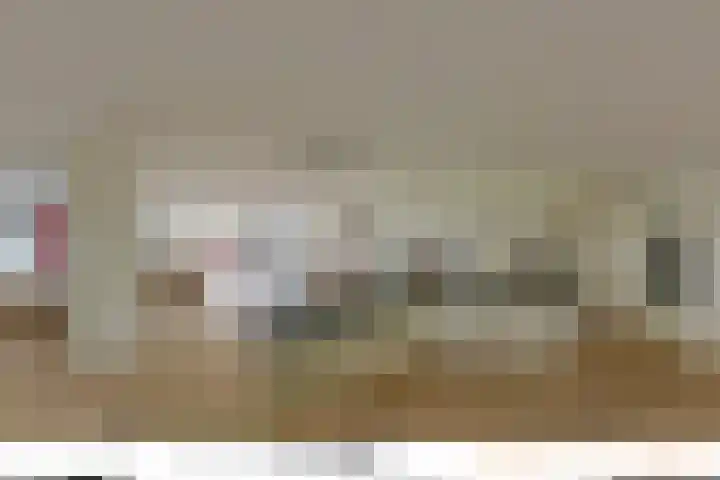 Mare 66 Pijnacker thumbnail 42