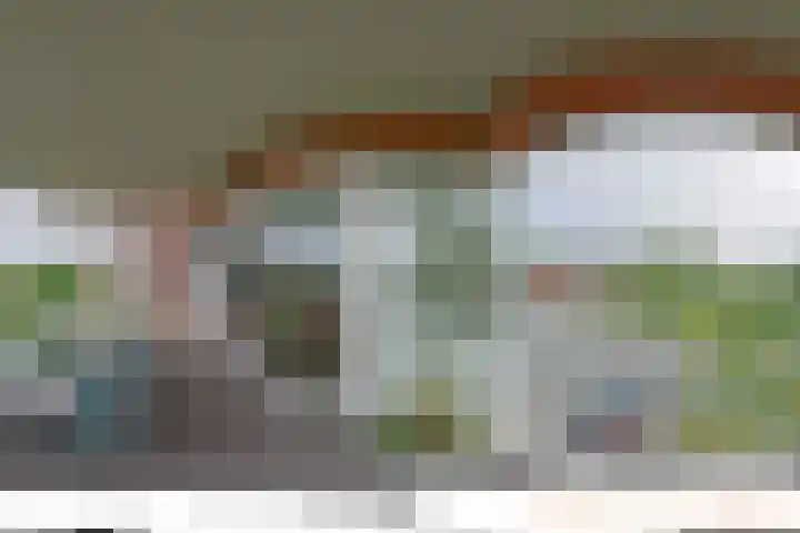 Mare 66 Pijnacker thumbnail 43