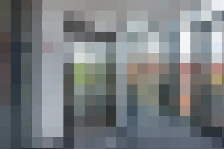 Mare 66 Pijnacker thumbnail 6