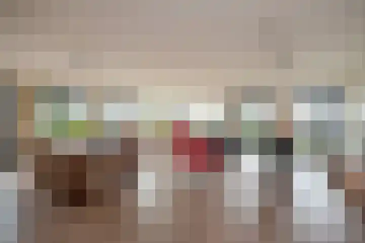 Mare 66 Pijnacker thumbnail 8