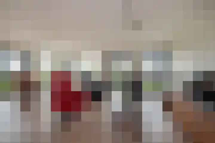 Mare 66 Pijnacker thumbnail 9