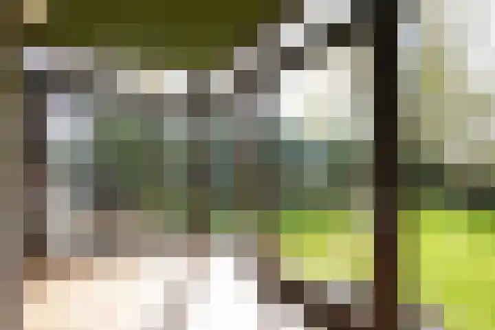 Mareheiweg 37 Klimmen thumbnail 20