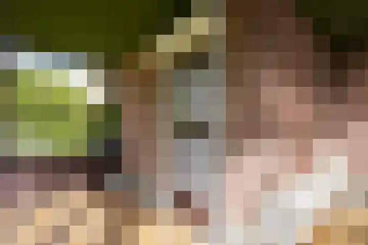 Mareheiweg 37 Klimmen thumbnail 21