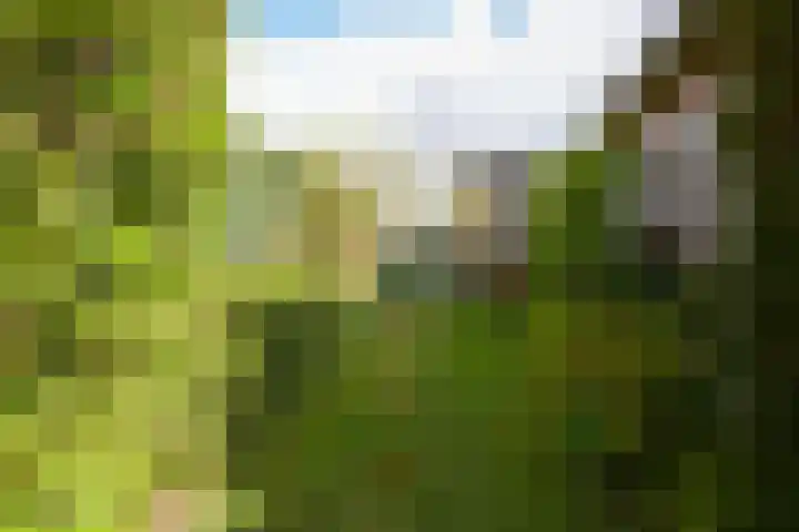 Mareheiweg 37 Klimmen thumbnail 24