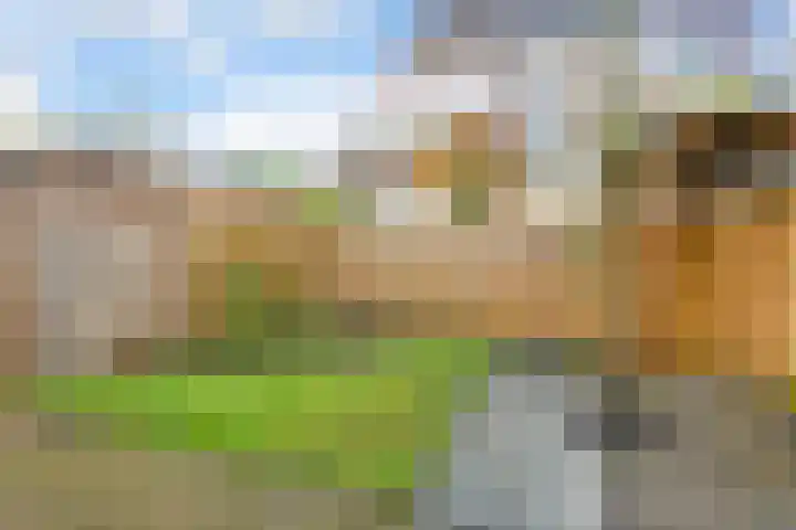 Marelaan 70 De Meern thumbnail 8