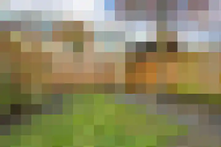 Marelaan 70 De Meern thumbnail 9