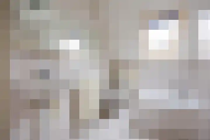 Marenhof 4 Eenrum thumbnail 23