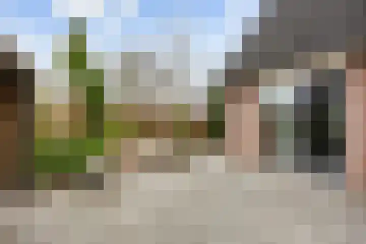 Marenhof 4 Eenrum thumbnail 30