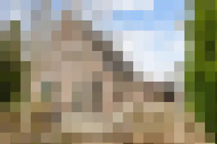 Marenhof 4 Eenrum thumbnail 31
