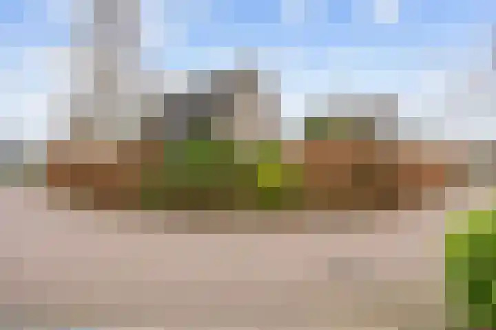 Marenhof 4 Eenrum thumbnail 6