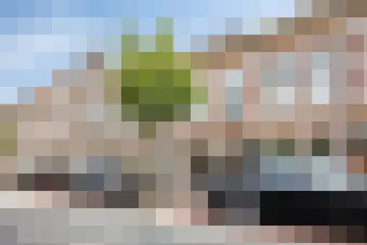 Maresingel 49 Leiden thumbnail 35