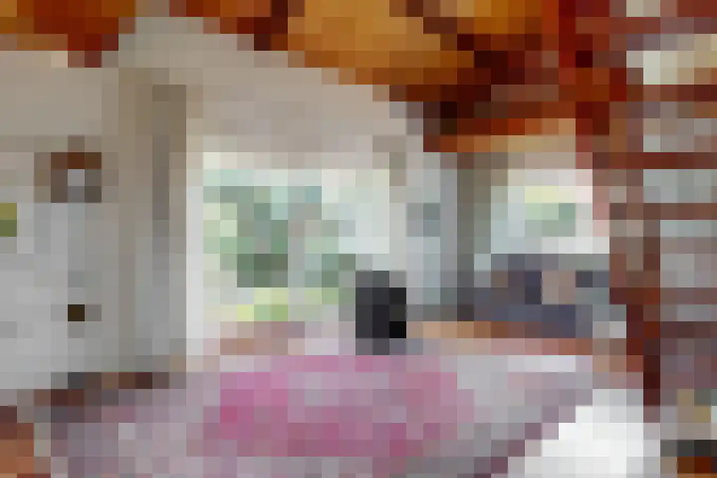 Maretzstraat 9 Stein thumbnail 10