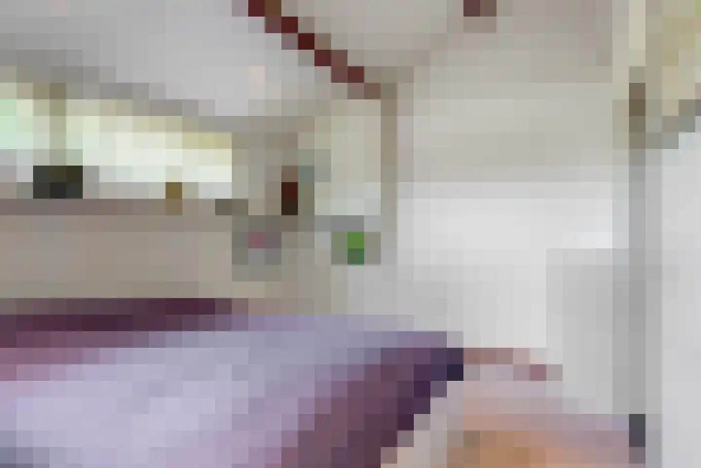 Maretzstraat 9 Stein thumbnail 19