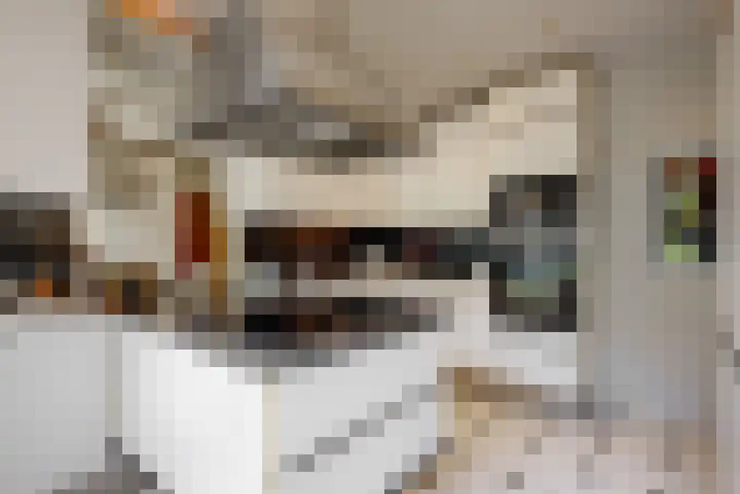 Maretzstraat 9 Stein thumbnail 21