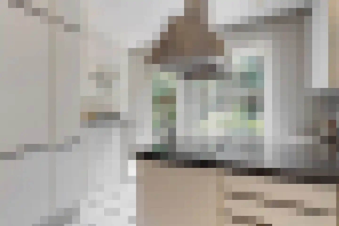 Maretzstraat 9 Stein thumbnail 22
