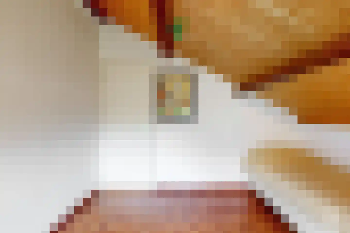 Maretzstraat 9 Stein thumbnail 32