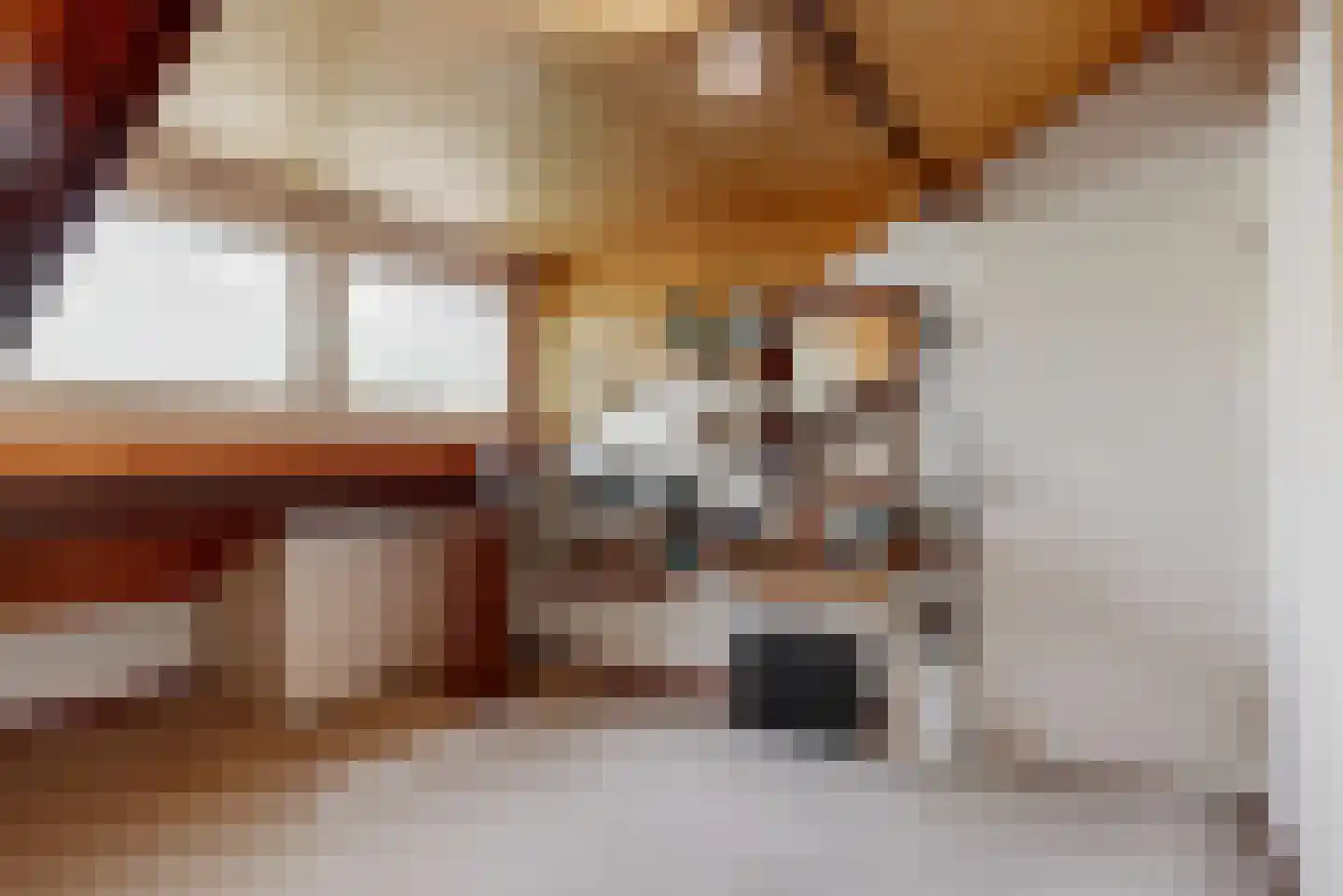 Maretzstraat 9 Stein thumbnail 34