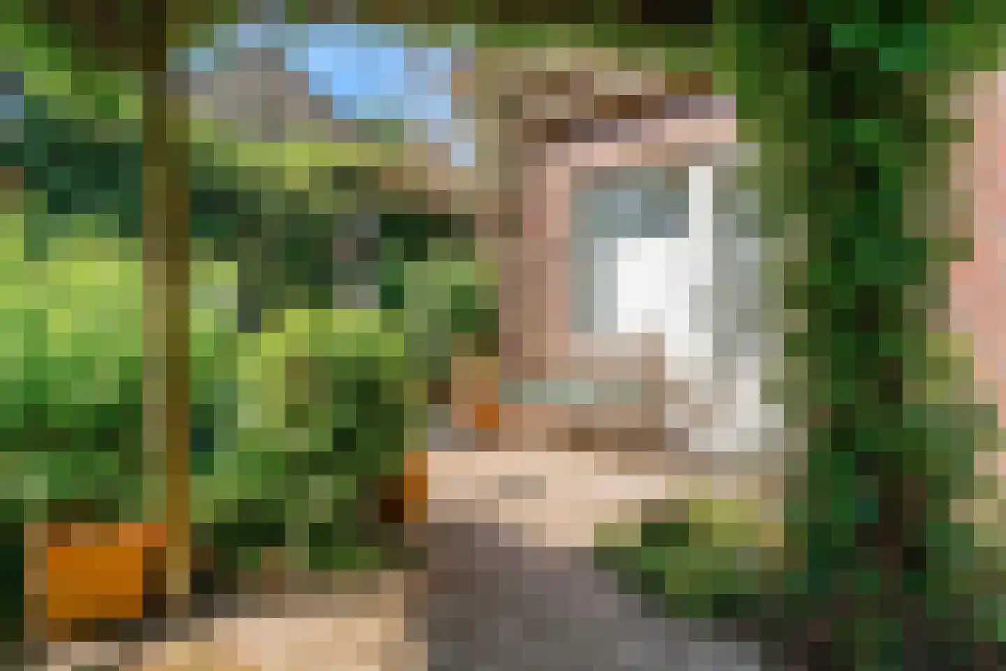 Maretzstraat 9 Stein thumbnail 35