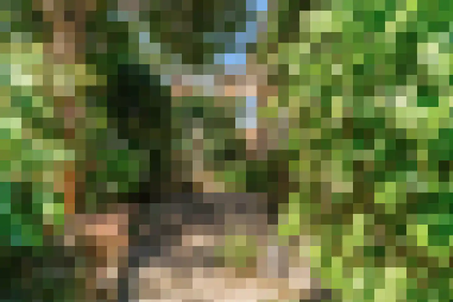 Maretzstraat 9 Stein thumbnail 36
