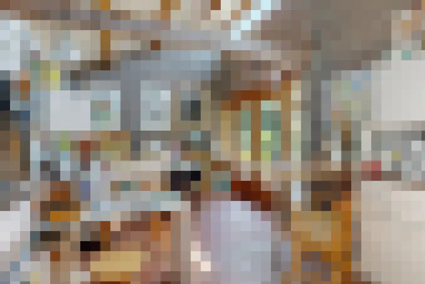 Maretzstraat 9 Stein thumbnail 39