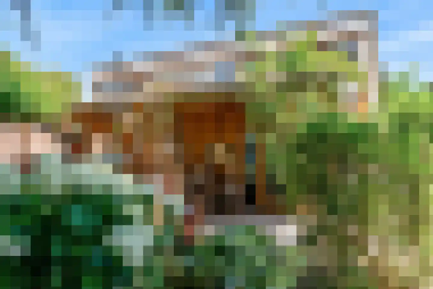 Maretzstraat 9 Stein thumbnail 5