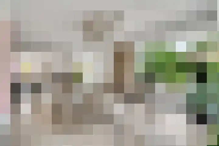 Mareweg 23 a Schimmert thumbnail 11