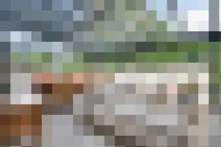 Mareweg 23 a Schimmert thumbnail 14