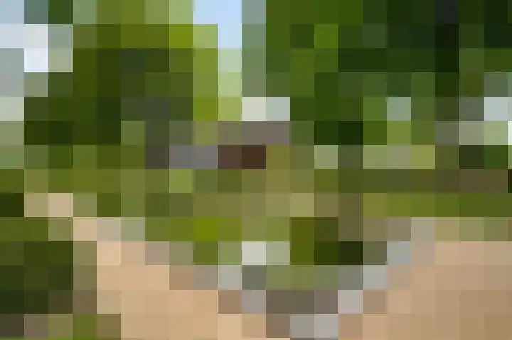 Mareweg 23 a Schimmert thumbnail 32