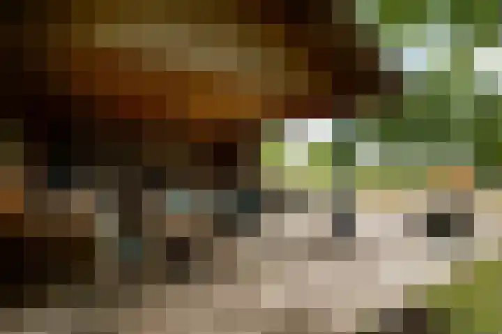 Mareweg 23 a Schimmert thumbnail 39