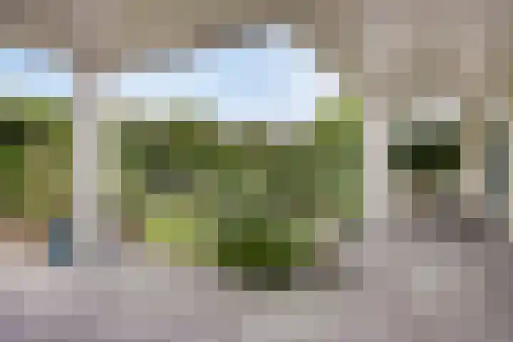 Margrietlaan 5 Sittard thumbnail 33