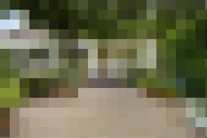 Margrietlaan 5 Sittard thumbnail 37