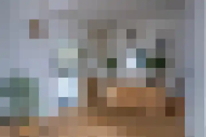 Margrietstraat 1 Lobith thumbnail 9
