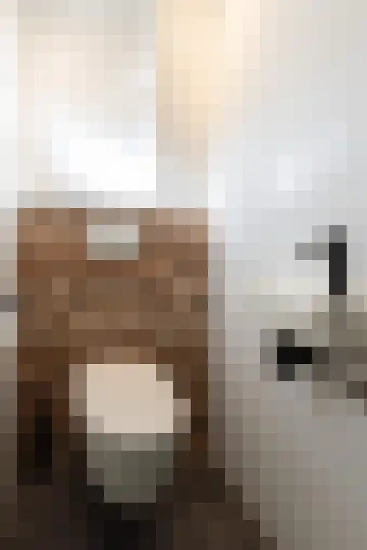 Margrietstraat 19 Duiven thumbnail 10