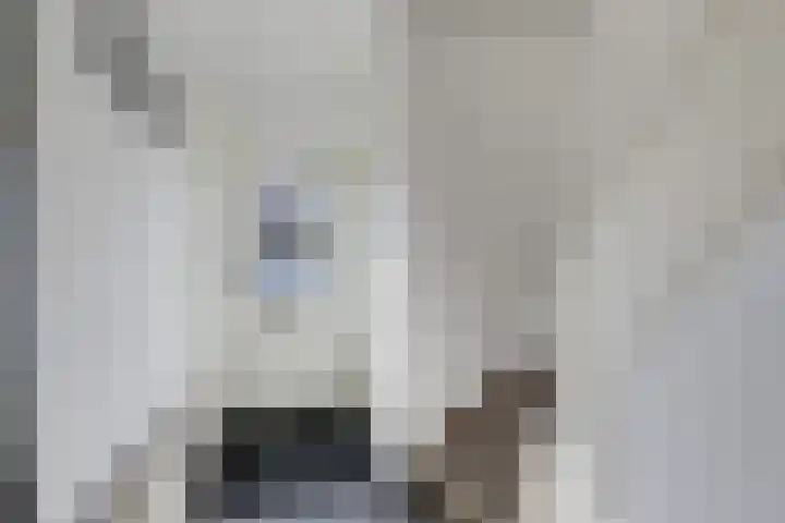 Margrietstraat 19 Duiven thumbnail 9