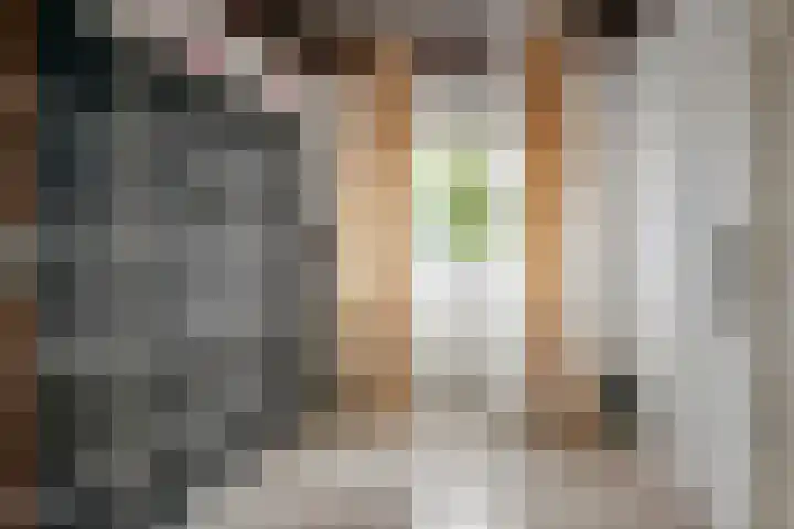 Margrietstraat 2 Culemborg thumbnail 17