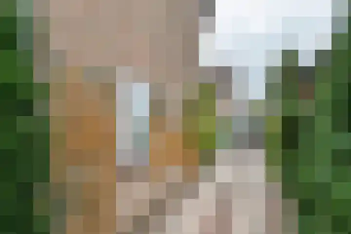 Margrietstraat 2 Culemborg thumbnail 31