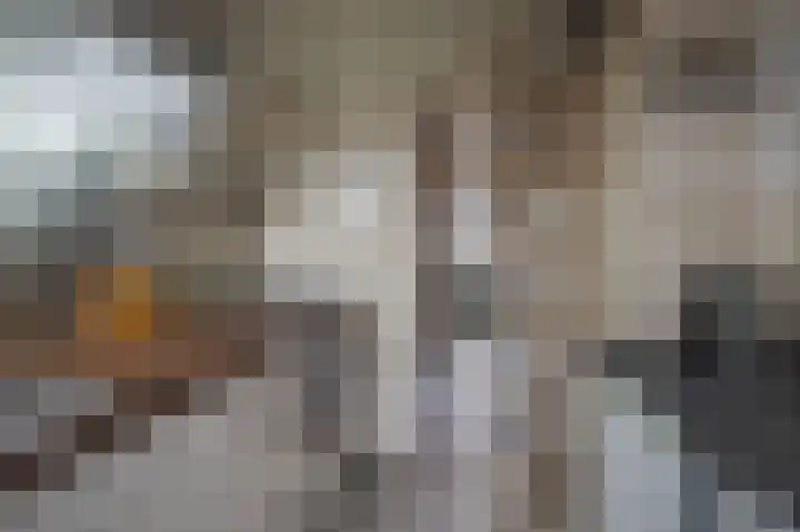 Margrietstraat 20 Lobith thumbnail 13