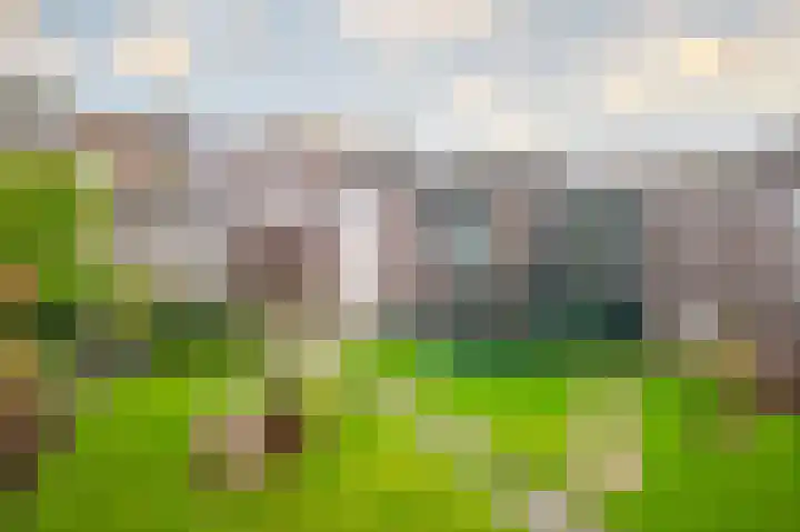 Margrietstraat 20 Lobith thumbnail 16