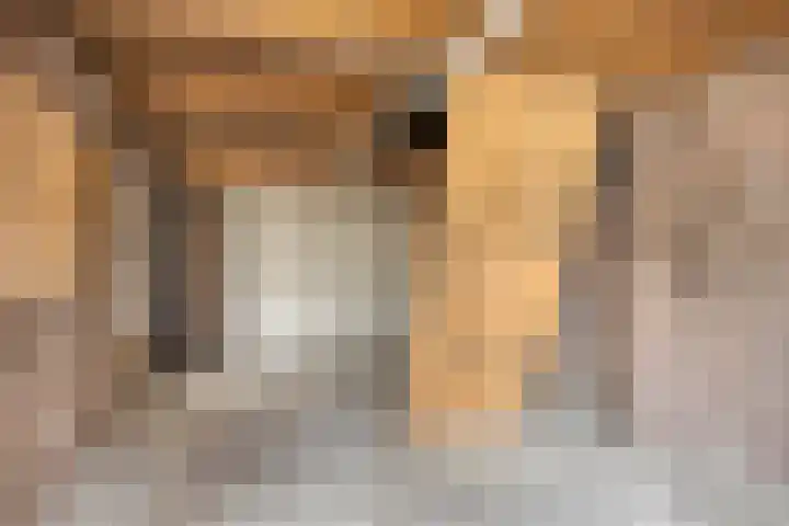 Margrietstraat 24 Mill thumbnail 27