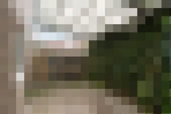 Margrietstraat 24 Mill thumbnail 29