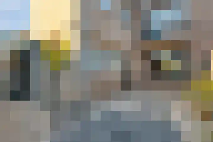 Margrietstraat 35 Leuth thumbnail 22