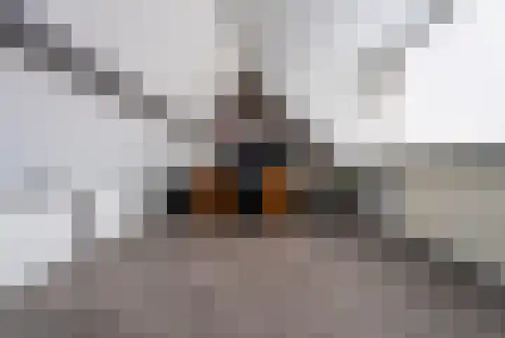 Margrietstraat 4 Rhoon thumbnail 34