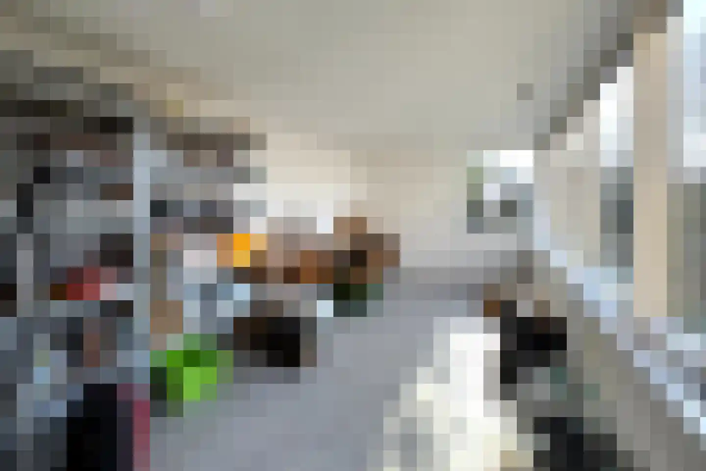 Margrietstraat 44 Puth thumbnail 25