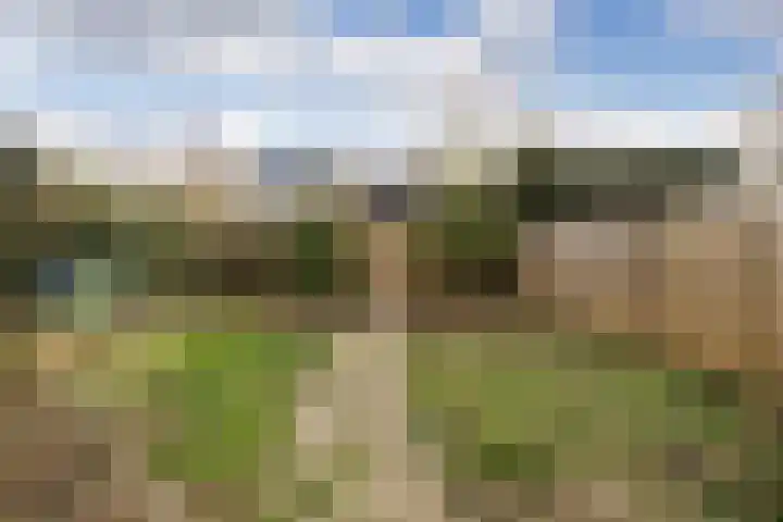 Margrietstraat 63 Arnhem thumbnail 39