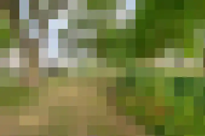 Margrietstraat 8 Buren thumbnail 31